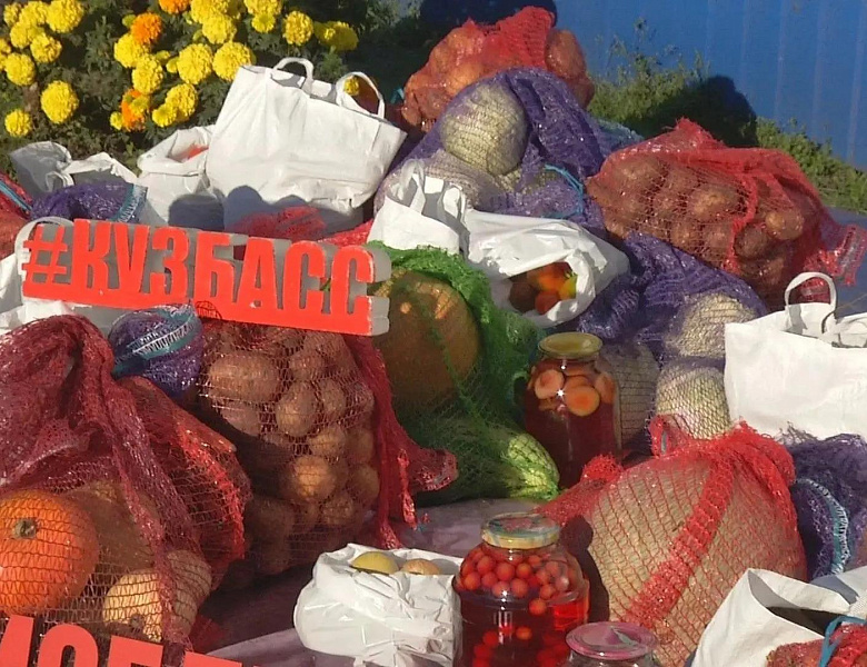 Уроки труда и заботы: как в школе №16 растят не только овощи, но и добрые сердца 